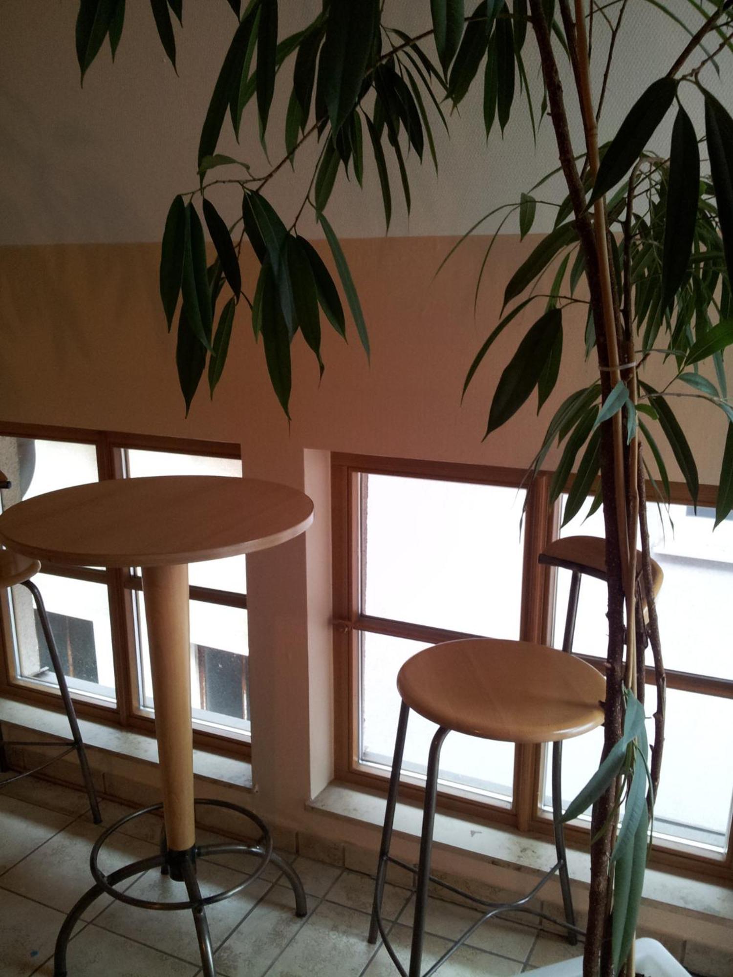 Zur Frischen Quelle Hotel Oberasbach Kamer foto